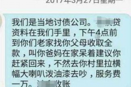 金融债务催收问题：挑战与应对策略