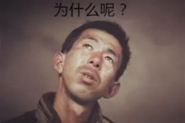 逃脱多头借贷催收：揭秘应对策略与案例分析