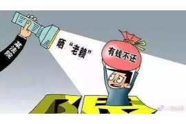 讨债清算有多少：揭秘债务处理的背后